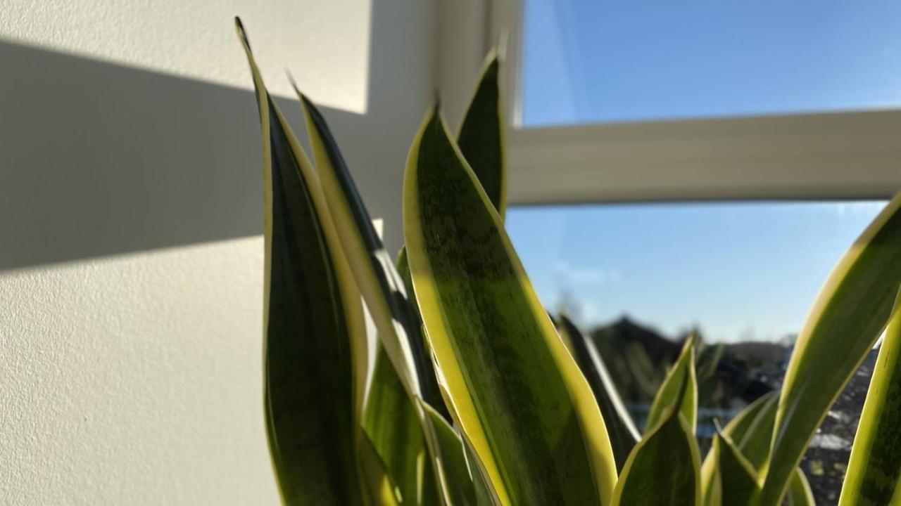 Villa Soholt - Silkeborg Bed And Breakfast מראה חיצוני תמונה